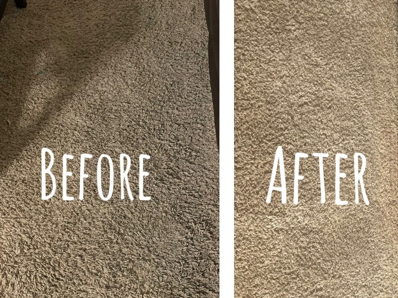 Carpet Cleaning Before and After