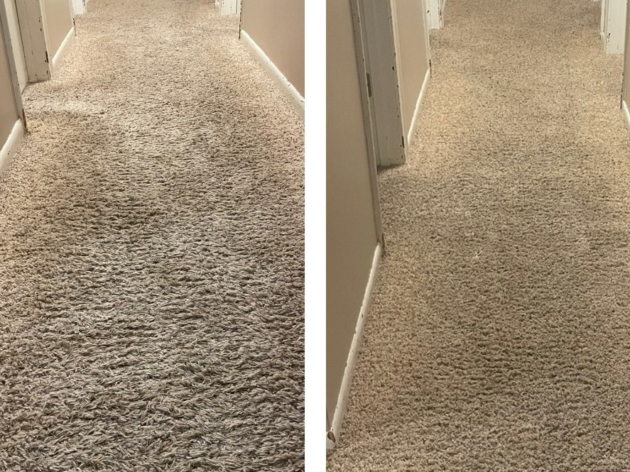 Carpet Cleaning Before and After