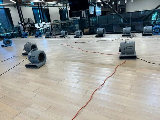 Floor dryers spread out on floor of building.