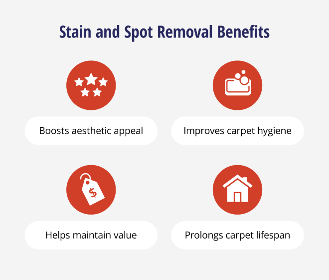 Four benefits of carpet stain removal and spot treatment services: boosts aesthetic appeal, improves carpet hygiene, helps maintain value, prolongs carpet lifespan.