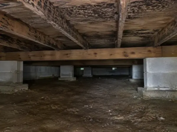 Dark mold staining covers the wooden joists above the damp dirt floor of an older Elizabethton home&rsquo;s crawl space.