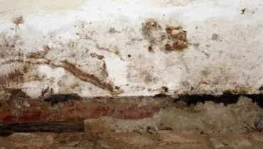 An extreme amount of mold on walls and the floor of a room.