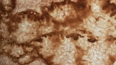 Brown splotches of water damage on a linoleum floor.