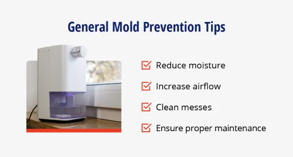 Mold prevention tips, including reduce moisture, increase airflow, clean messes, and proper maintenance.