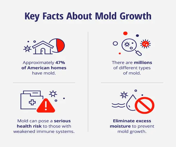 Top mold facts, including that 47% of American homes have mold, there are millions of different types, mold can be dangerous to the immunocompromised, and eliminating excess moisture prevents mold growth. 