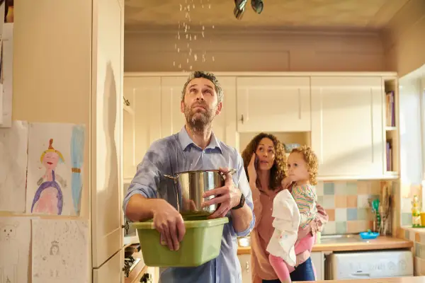 Water damage company st louis.