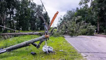 Down power lines from wind damage after a storm.