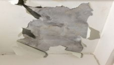 Peeling paint and water-damaged ceiling in a residential home, showing significant moisture exposure and deterioration, likely caused by a leak or flooding.
