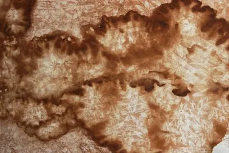 Brown splotches of water damage on a linoleum floor.
