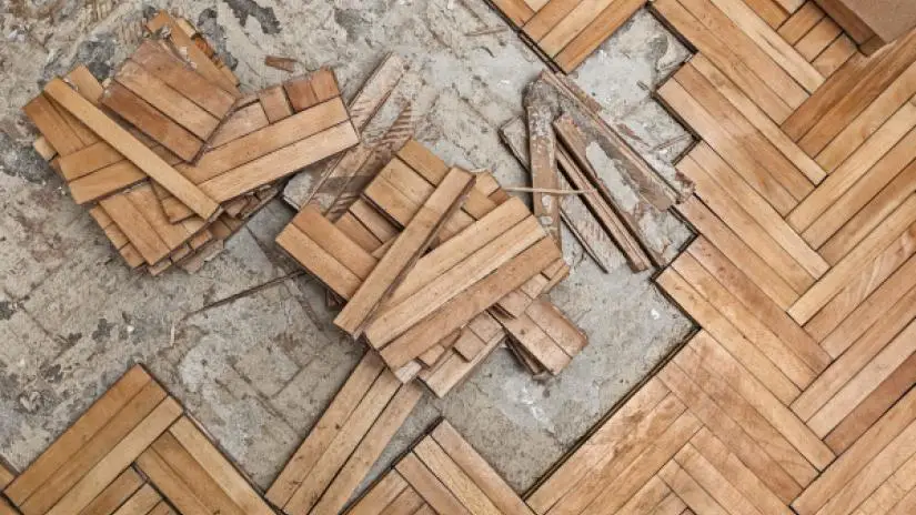 Damaged wood floor and subfloor due to water