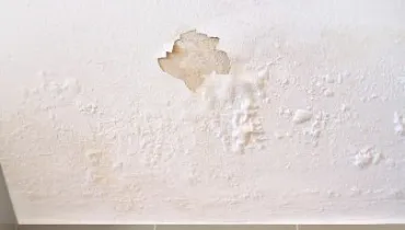 Ceiling with peeling paint and visible water damage.
