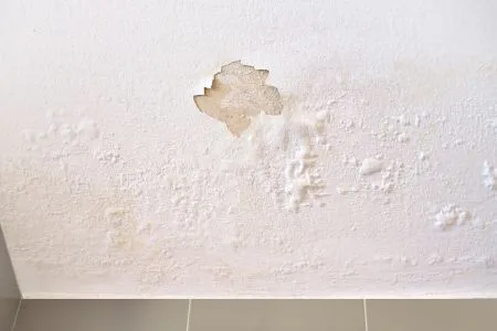 Ceiling with peeling paint and visible water damage.