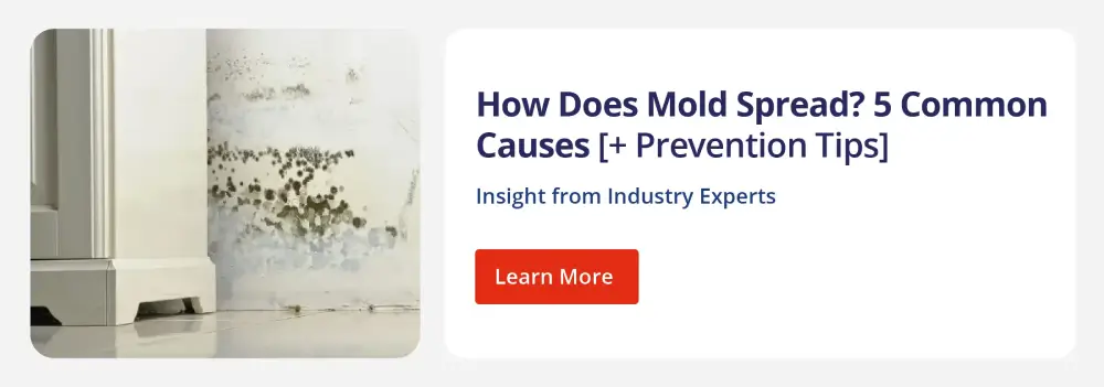 Clickable graphic directing to Rainbow Restoration's blog How Does Mold Spread? 5 Common Causes [+ Prevention Tips].