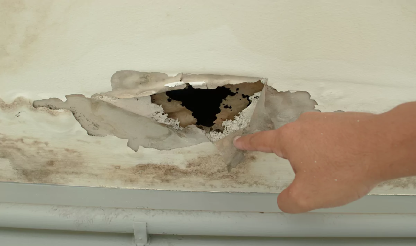 Hand pointing to water damage in a wall.