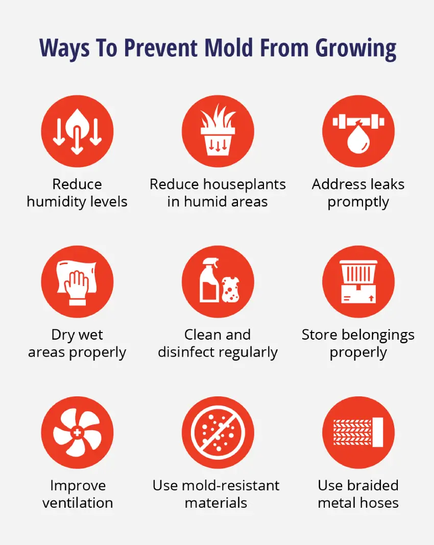 List of ways to prevent mold, including reducing humidity, improving ventilation, and addressing leaks promptly.